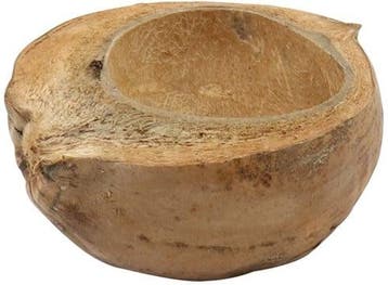 Kokosnoot Naturel halve 18-20 cm per stuk, Ophalen of Verzenden, Nieuw