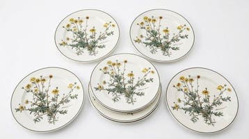 Villeroy & Boch - Bord (6) - Botanica - Vitro-Porzellan -
