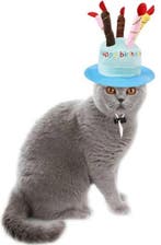 Soft pluche Happy Birthday hoed voor katten blauw of roze, Verzenden, Nieuw