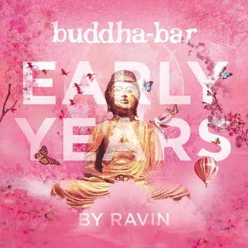 lp nieuw - various artists - BUDDHA BAR EARLY YEARS (nieuw), Verzenden, Zo goed als nieuw, Overige formaten