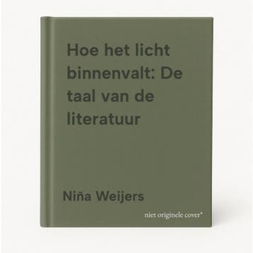 Hoe het licht binnenvalt: De taal van de literatuur, Verzenden, Gelezen, Niña Weijers