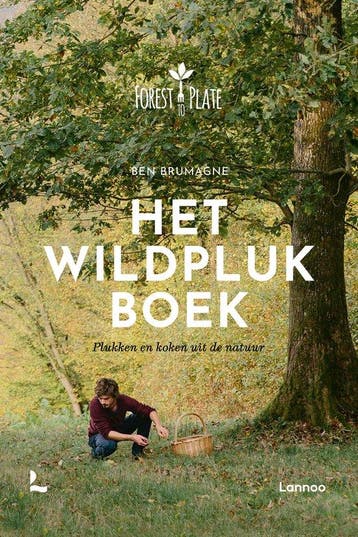 9789401487658 Het Wildplukboek Ben Brumagne, Verzenden, Nieuw, Ben Brumagne
