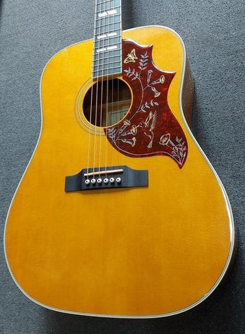 Sigma - DA-SG5-AN Hummingbird-Limited Edition - -, Nieuw