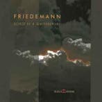 cd - Friedemann - Echoes Of A Shattered Sky, Verzenden, Zo goed als nieuw
