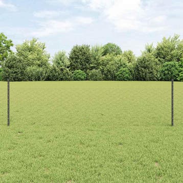 vidaXL zeshoekig gaasgek met palen 50 x 0,5 m PVC-Coated, Tuin en Terras, Verzenden, Nieuw, IJzer