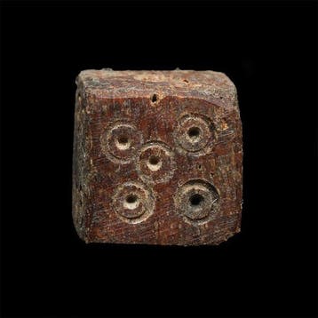 Oud-Romeins Been Die