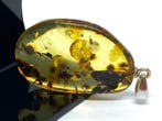 The Solar Prism – Prachtig Gepolijst Baltisch amber hanger, Nieuw