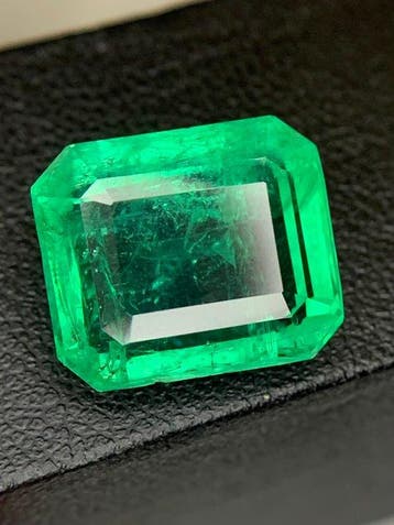 1 pcs Groen Smaragd - 11.31 ct - Guild Gem Laboratory, Nieuw