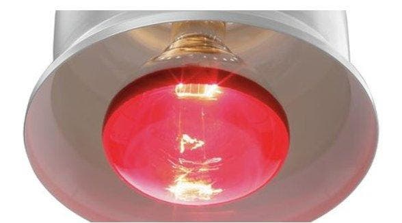 Bartscher Infraroodlamp, Zakelijke goederen, Horeca | Keukenapparatuur, Verzenden