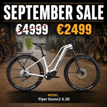 Flyer G2 https://www.eltenerfahrradprofi.met €2500,- korting, Fietsen en Brommers, Overige merken, Verzenden, Nieuw, 51 tot 55 cm