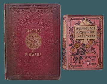 Anonymous - Language and Sentiment of Flowers, Floral