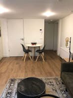 Te huur: Appartement Jansstraat in Haarlem, Noord-Holland, Appartement, Haarlem