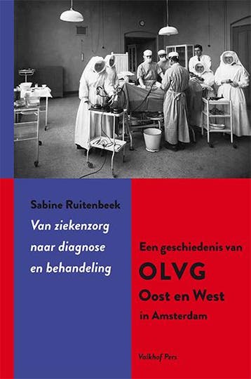 Van ziekenzorg naar diagnose en behandeling 9789056254988, Verzenden, Zo goed als nieuw, Sabine Ruitenbeek