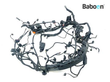 Kabelboom BMW F 750 GS 2018-2023 (F750GS K80) (8409325), Verzenden, Gebruikt