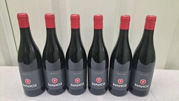 2019 DeMencia Vino de Villa - Bierzo DOC - 6 Flessen (0.75, Nieuw