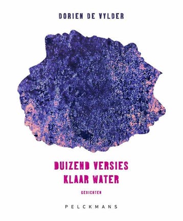 Duizend Versies Klaar Water | Dorien De Vylder | Nieuw, Ophalen of Verzenden, Nieuw, Dorien De Vylder