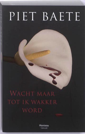 Wacht maar tot ik wakker word - Piet Baete 9789022324868, Verzenden, Gelezen, Piet Baete