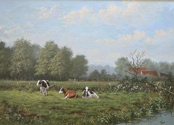 J Droog?(XX) - Koeien in de wei