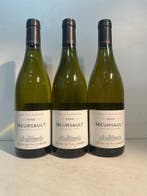 2022 Henri de Villamont Meursault - Bourgogne - 3 Flessen, Verzamelen, Wijnen, Nieuw