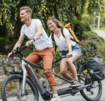 dé TANDEM Specialist : Rein Veenendaal | VEEL GEBRUIKT!, Ophalen of Verzenden, Zo goed als nieuw, REIN VEENENDAAL, Vering