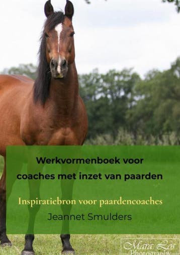 9789464923636 Werkvormenboek voor coaches met inzet van p..., Verzenden, Nieuw, Jeannet Smulders
