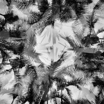 Ben Dauchez - AT majorelle
