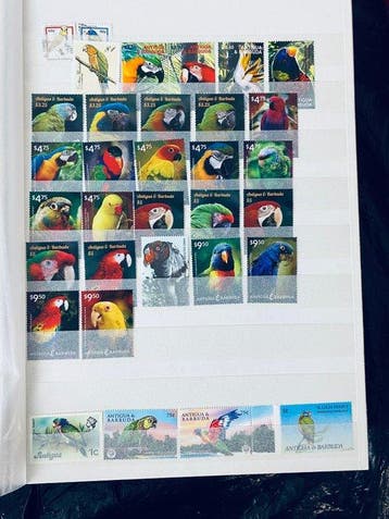 Wereld - Collectie World Africa Sheets Tropische Vogels -, Gestempeld