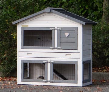 Luxe Konijnenhok kopen?Bij GrootPlezier.nl koopt u kwaliteit, Nieuw, Ophalen of Verzenden, 90 cm of meer, Konijn