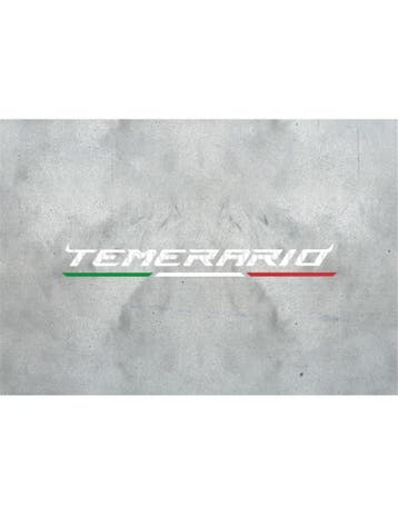 2025 LAMBORGHINI TEMERARIO ALLEGGERITA LITHOGRAFIE, Nieuw, Author