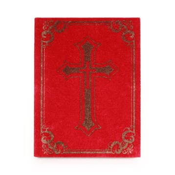 Sinterklaas boek - Sinterklaas accessoires, Ophalen of Verzenden, Nieuw