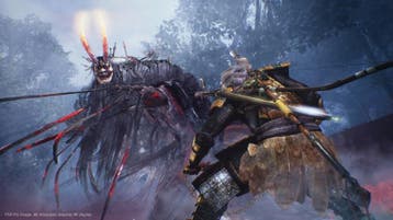 Nioh (ps4 tweedehands game), Ophalen of Verzenden, Zo goed als nieuw