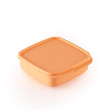 Tupperware Snackbox Oranje, Huis en Inrichting, Keuken | Tupperware, Ophalen of Verzenden, Nieuw, Oranje