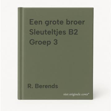 Een grote broer Sleuteltjes B2 Groep 3 - R. Berends, Verzenden, Gelezen, R. Berends