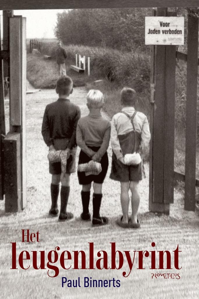 Het leugenlabyrint (9789044647259, Paul Binnerts), Boeken, Romans, Nieuw, Verzenden