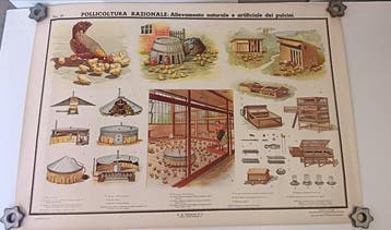 (14) Didactische tabellen G.B. Paravia & C. - Schoolkaart, Antiek en Kunst