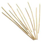 Plantenstokken | Nature | 60 cm | 10 stuks, Verzenden