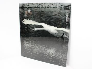 Wanddecoratie aluminium dibond - 203x181cm (hxb), Werkplek, Ophalen of Verzenden, Gebruikt, Overige typen