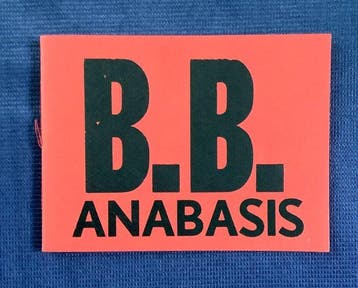 Boudewijn Büch - Anabasis [+ Androgyn is Ska] - 1985-1994