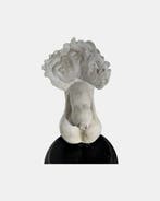 sculptuur, Antica scultura fallo calco in gesso DAVID di