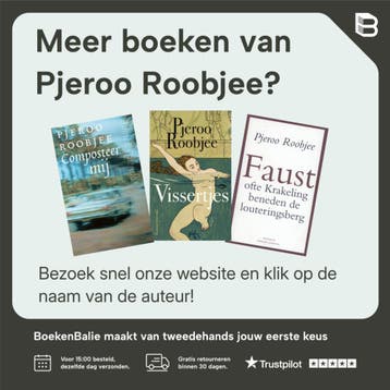 Niets te vieren - Pjeroo Roobjee 9789021402024, Verzenden, Gelezen, Pjeroo Roobjee
