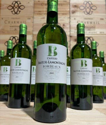 2018 Château Bastor-Lamontagne - Bordeaux - 12 Flessen (0.75, Nieuw