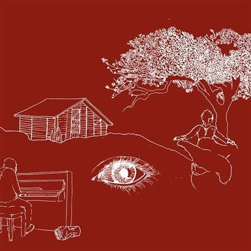 lp nieuw - timo van lierop - EARTH TONES (nieuw), Verzenden, Zo goed als nieuw, Overige formaten