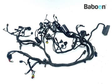 Kabelboom BMW F 800 R 2009-2014 (F800R) (7705434), Verzenden, Gebruikt
