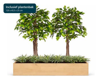 Kunstplantenpakket Breda met plantenbak, 120 cm, Huis en Inrichting, Ophalen of Verzenden, Overige soorten, 100 tot 150 cm