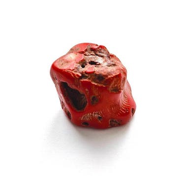 Oud Tibetaans of Nepalees Sea Bambu XXL Kraaltalisman - 35