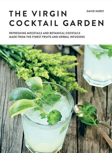 The virgin cocktail garden - David Hurst 9781911130642, Verzenden, Gelezen, David Hurst