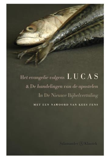 Het Evangelie Volgens Lucas 9789025311735, Verzenden, Zo goed als nieuw