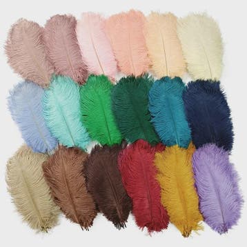 Set van 10 Gekleurde Struisvogelveren voor Knutselen, Decora, Verzenden, Nieuw