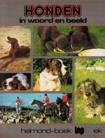 Honden in woord en beeld - Bailey, Verzenden, Gelezen