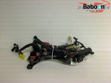 Kabelboom Honda GL 1800 Goldwing 2001-2005 (GL1800), Verzenden, Gebruikt